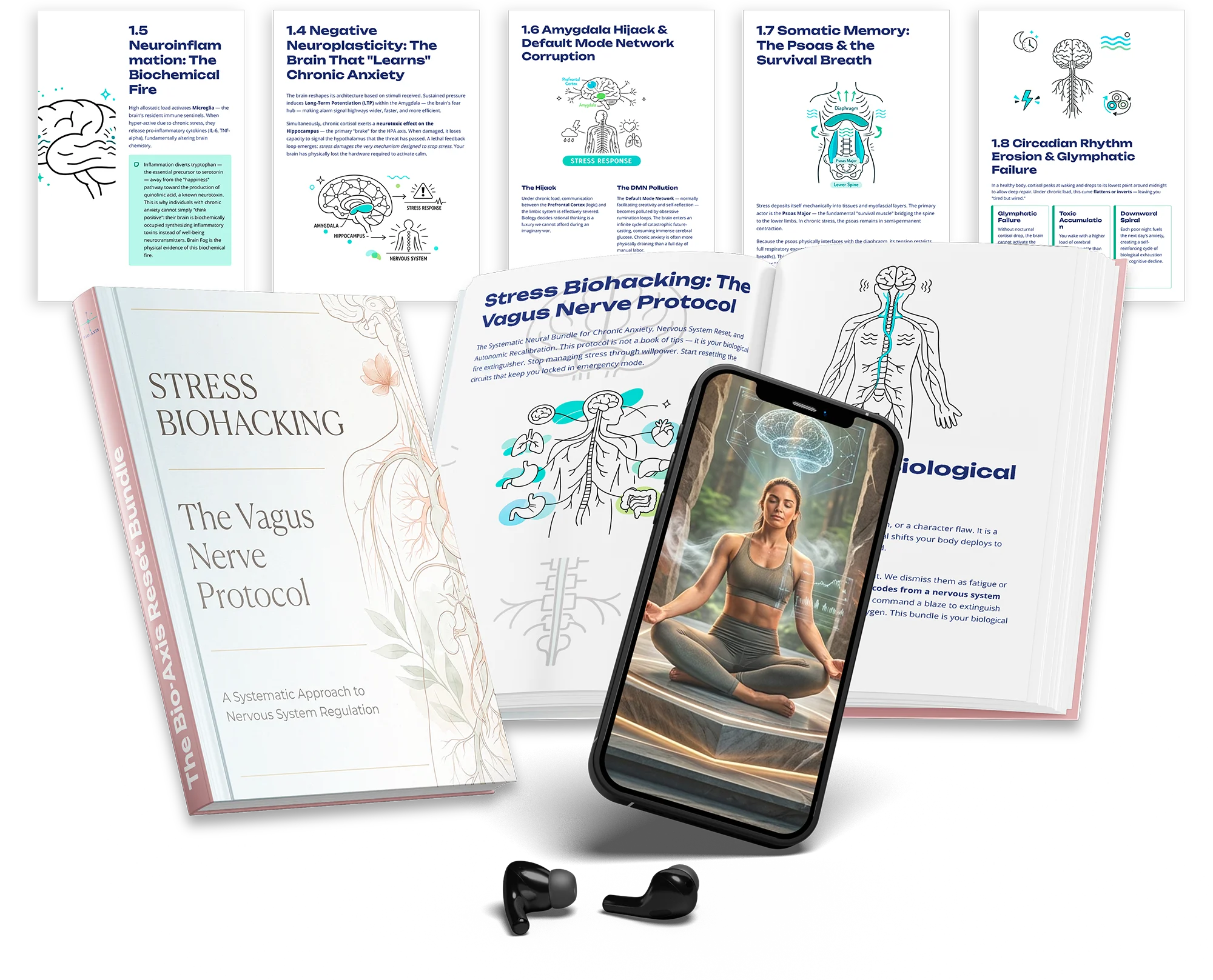 The Bio-Axis Bundle